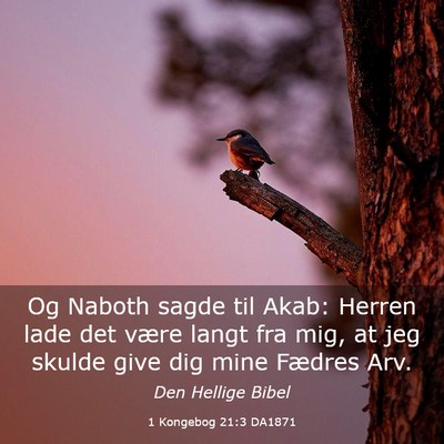 Picture 03 - 1 Kongebog 21:3 DA1871 - Og Naboth sagde til Akab: Herren lade det være - Bible Verse Picture