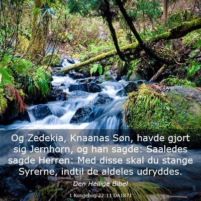 Picture 03 - 1 Kongebog 22:11 DA1871 - Og Zedekia, Knaanas Søn, havde gjort sig - Bible Verse Picture