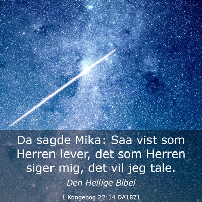 Picture 03 - 1 Kongebog 22:14 DA1871 - Da sagde Mika: Saa vist som Herren lever, det som - Bible Verse Picture
