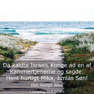 Picture 03 - 1 Kongebog 22:9 DA1871 - Da kaldte Israels Konge ad en af Kammertjenerne - Bible Verse Picture