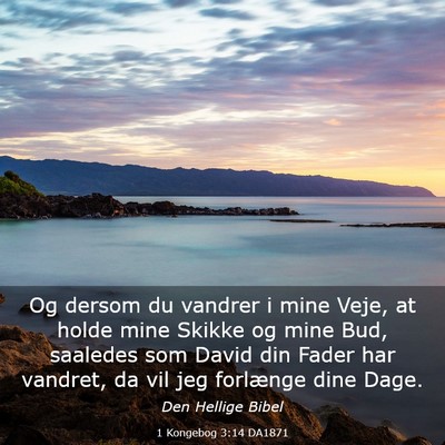 Picture 03 - 1 Kongebog 3:14 DA1871 - Og dersom du vandrer i mine Veje, at holde mine - Bible Verse Picture