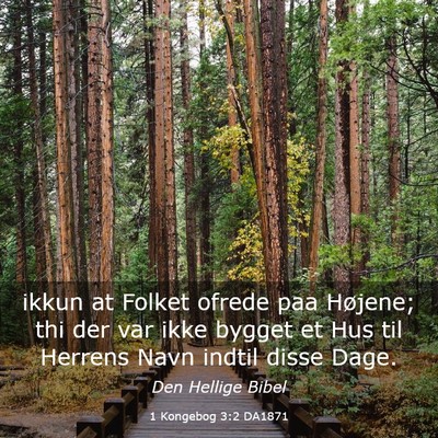 Picture 03 - 1 Kongebog 3:2 DA1871 - ikkun at Folket ofrede paa Højene; thi der var - Bible Verse Picture