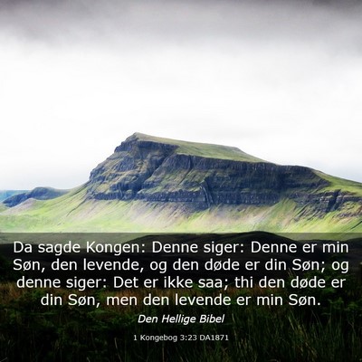 Picture 03 - 1 Kongebog 3:23 DA1871 - Da sagde Kongen: Denne siger: Denne er min Søn, - Bible Verse Picture