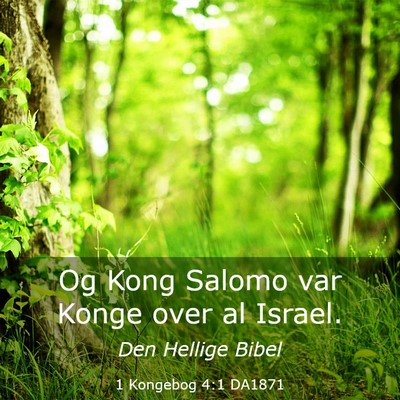 Picture 03 - 1 Kongebog 4:1 DA1871 - Og Kong Salomo var Konge over al - Bible Verse Picture