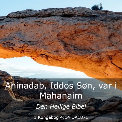 Picture 03 - 1 Kongebog 4:14 DA1871 - Ahinadab, Iddos Søn, var i - Bible Verse Picture