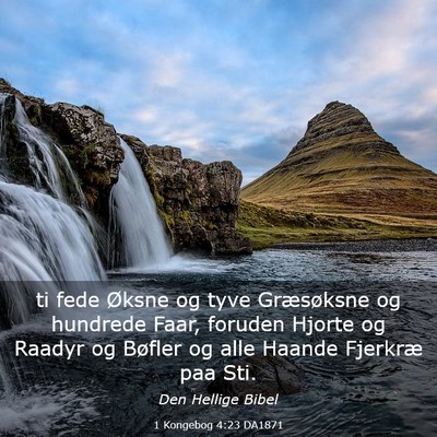 Picture 03 - 1 Kongebog 4:23 DA1871 - ti fede Øksne og tyve Græsøksne og hundrede - Bible Verse Picture