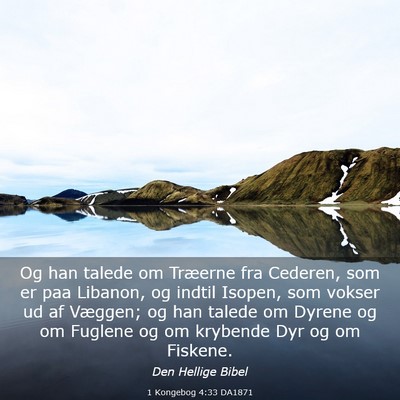 Picture 03 - 1 Kongebog 4:33 DA1871 - Og han talede om Træerne fra Cederen, som er paa - Bible Verse Picture