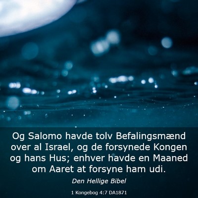 Picture 03 - 1 Kongebog 4:7 DA1871 - Og Salomo havde tolv Befalingsmænd over al - Bible Verse Picture