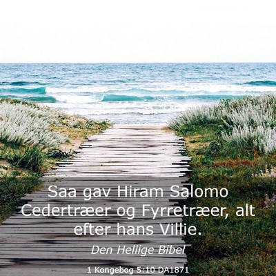 Picture 03 - 1 Kongebog 5:10 DA1871 - Saa gav Hiram Salomo Cedertræer og Fyrretræer, - Bible Verse Picture