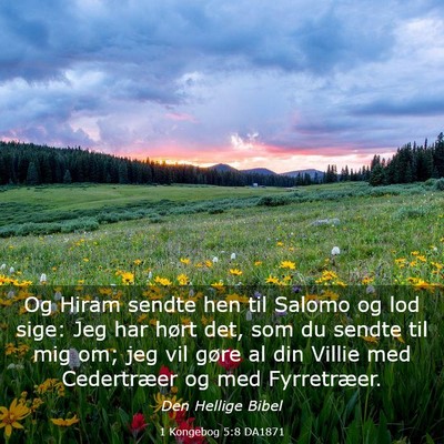 Picture 03 - 1 Kongebog 5:8 DA1871 - Og Hiram sendte hen til Salomo og lod sige: Jeg - Bible Verse Picture
