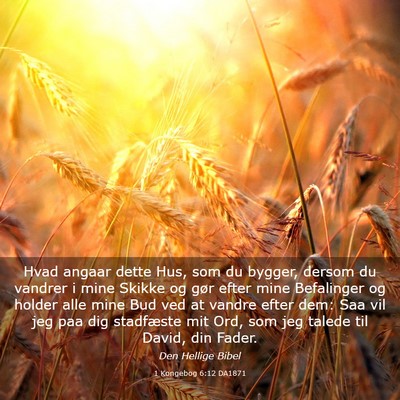 Picture 03 - 1 Kongebog 6:12 DA1871 - Hvad angaar dette Hus, som du bygger, dersom du - Bible Verse Picture