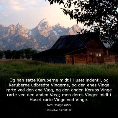 Picture 03 - 1 Kongebog 6:27 DA1871 - Og han satte Keruberne midt i Huset indentil, og - Bible Verse Picture