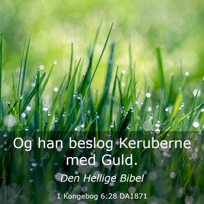 Picture 03 - 1 Kongebog 6:28 DA1871 - Og han beslog Keruberne med - Bible Verse Picture