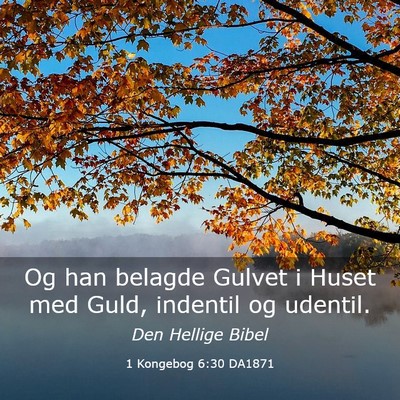 Picture 03 - 1 Kongebog 6:30 DA1871 - Og han belagde Gulvet i Huset med Guld, indentil - Bible Verse Picture