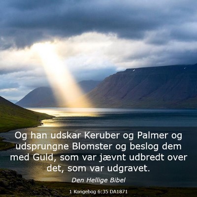 Picture 03 - 1 Kongebog 6:35 DA1871 - Og han udskar Keruber og Palmer og udsprungne - Bible Verse Picture