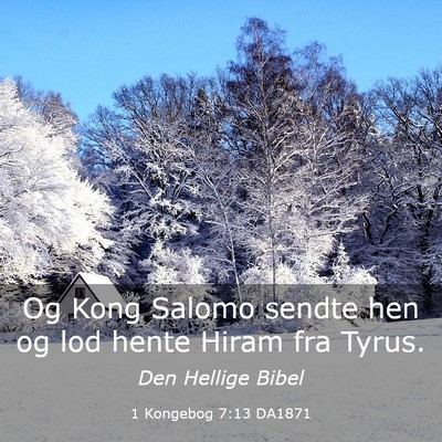 Picture 03 - 1 Kongebog 7:13 DA1871 - Og Kong Salomo sendte hen og lod hente Hiram fra - Bible Verse Picture