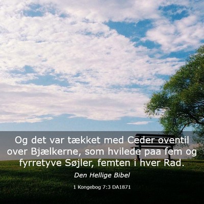 Picture 03 - 1 Kongebog 7:3 DA1871 - Og det var tækket med Ceder oventil over - Bible Verse Picture