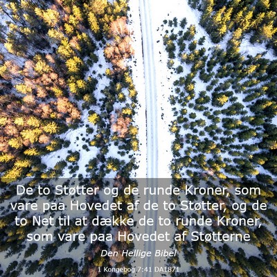 Picture 03 - 1 Kongebog 7:41 DA1871 - De to Støtter og de runde Kroner, som vare paa - Bible Verse Picture