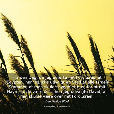 Picture 03 - 1 Kongebog 8:16 DA1871 - Fra den Dag, da jeg udførte mit Folk Israel at - Bible Verse Picture