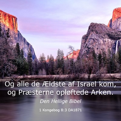 Picture 03 - 1 Kongebog 8:3 DA1871 - Og alle de Ældste af Israel kom, og Præsterne - Bible Verse Picture