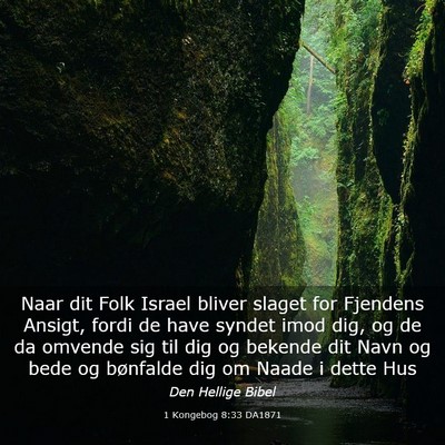 Picture 03 - 1 Kongebog 8:33 DA1871 - Naar dit Folk Israel bliver slaget for Fjendens - Bible Verse Picture