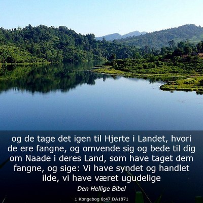 Picture 03 - 1 Kongebog 8:47 DA1871 - og de tage det igen til Hjerte i Landet, hvori de - Bible Verse Picture