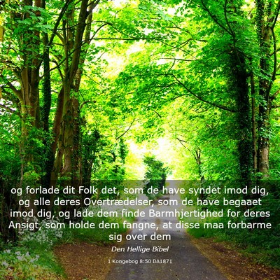 Picture 03 - 1 Kongebog 8:50 DA1871 - og forlade dit Folk det, som de have syndet imod - Bible Verse Picture