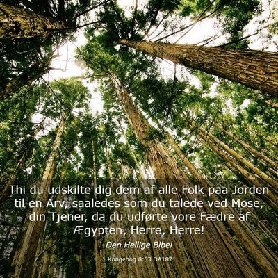 Picture 03 - 1 Kongebog 8:53 DA1871 - Thi du udskilte dig dem af alle Folk paa Jorden - Bible Verse Picture