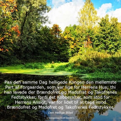 Picture 03 - 1 Kongebog 8:64 DA1871 - Paa den samme Dag helligede Kongen den mellemste - Bible Verse Picture