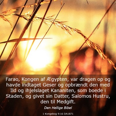 Picture 03 - 1 Kongebog 9:16 DA1871 - Farao, Kongen af Ægypten, var dragen op og havde - Bible Verse Picture