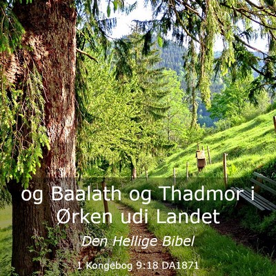 Picture 03 - 1 Kongebog 9:18 DA1871 - og Baalath og Thadmor i Ørken udi - Bible Verse Picture
