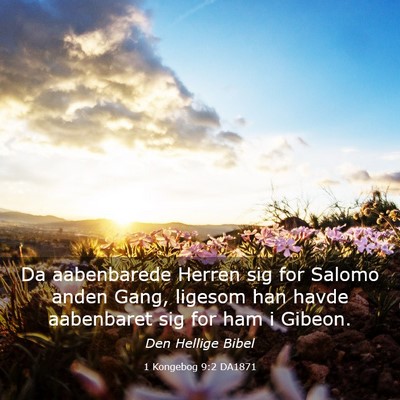 Picture 03 - 1 Kongebog 9:2 DA1871 - Da aabenbarede Herren sig for Salomo anden Gang, - Bible Verse Picture