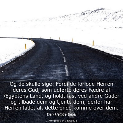Picture 03 - 1 Kongebog 9:9 DA1871 - Og de skulle sige: Fordi de forlode Herren deres - Bible Verse Picture