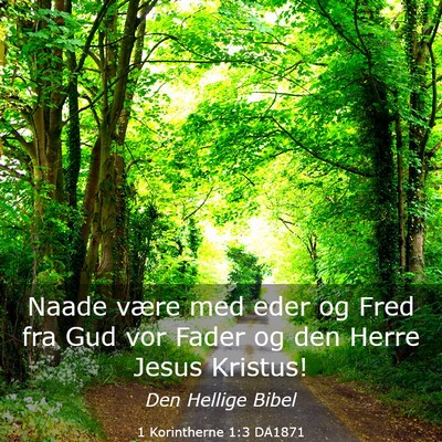 Picture 03 - 1 Korintherne 1:3 DA1871 - Naade være med eder og Fred fra Gud vor Fader og - Bible Verse Picture
