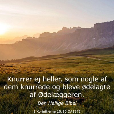 Picture 03 - 1 Korintherne 10:10 DA1871 - Knurrer ej heller, som nogle af dem knurrede og - Bible Verse Picture