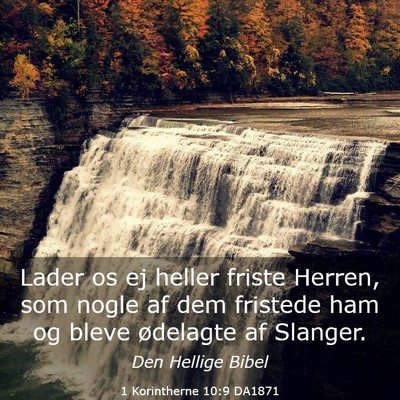 Picture 03 - 1 Korintherne 10:9 DA1871 - Lader os ej heller friste Herren, som nogle af - Bible Verse Picture