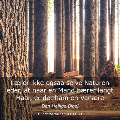 Picture 03 - 1 Korintherne 11:14 DA1871 - Lærer ikke ogsaa selve Naturen eder, at naar en - Bible Verse Picture