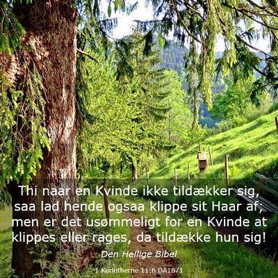 Picture 03 - 1 Korintherne 11:6 DA1871 - Thi naar en Kvinde ikke tildækker sig, saa lad - Bible Verse Picture