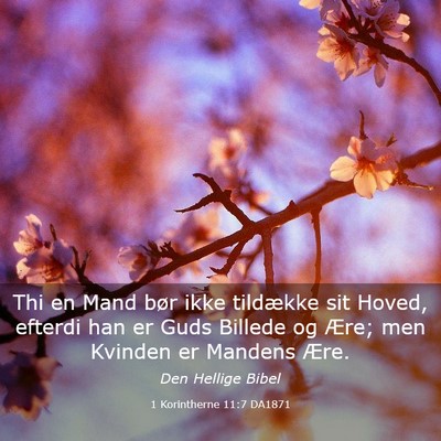 Picture 03 - 1 Korintherne 11:7 DA1871 - Thi en Mand bør ikke tildække sit Hoved, - Bible Verse Picture