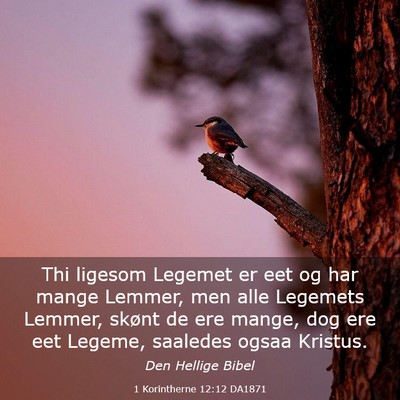 Picture 03 - 1 Korintherne 12:12 DA1871 - Thi ligesom Legemet er eet og har mange Lemmer, - Bible Verse Picture