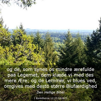 Picture 03 - 1 Korintherne 12:23 DA1871 - og de, som synes os mindre ærefulde paa Legemet, - Bible Verse Picture