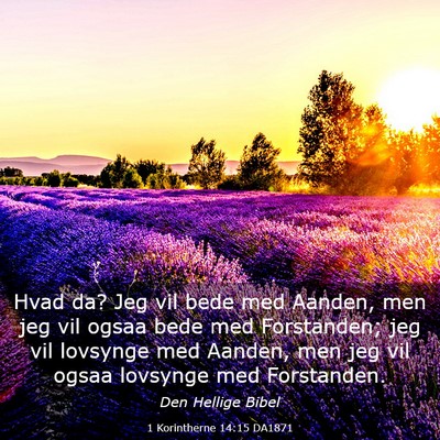 Picture 03 - 1 Korintherne 14:15 DA1871 - Hvad da? Jeg vil bede med Aanden, men jeg vil - Bible Verse Picture