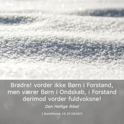 Picture 03 - 1 Korintherne 14:20 DA1871 - Brødre! vorder ikke Børn i Forstand, men værer - Bible Verse Picture
