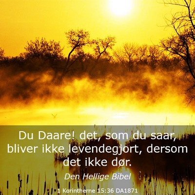 Picture 03 - 1 Korintherne 15:36 DA1871 - Du Daare! det, som du saar, bliver ikke - Bible Verse Picture
