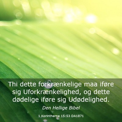 Picture 03 - 1 Korintherne 15:53 DA1871 - Thi dette forkrænkelige maa iføre sig - Bible Verse Picture