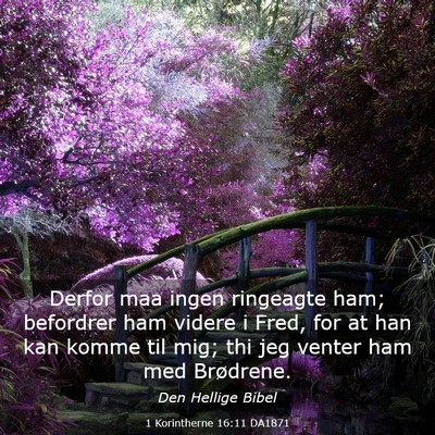Picture 03 - 1 Korintherne 16:11 DA1871 - Derfor maa ingen ringeagte ham; befordrer ham - Bible Verse Picture