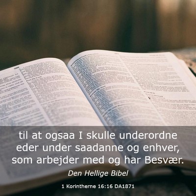 Picture 03 - 1 Korintherne 16:16 DA1871 - til at ogsaa I skulle underordne eder under - Bible Verse Picture