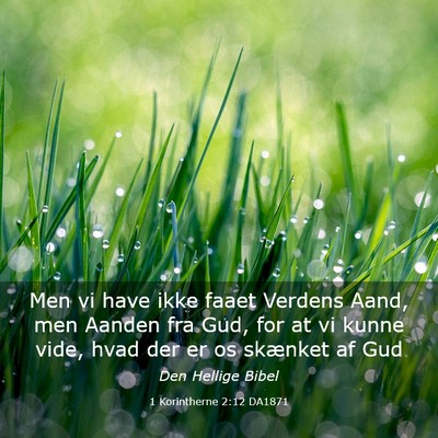 Picture 03 - 1 Korintherne 2:12 DA1871 - Men vi have ikke faaet Verdens Aand, men Aanden - Bible Verse Picture