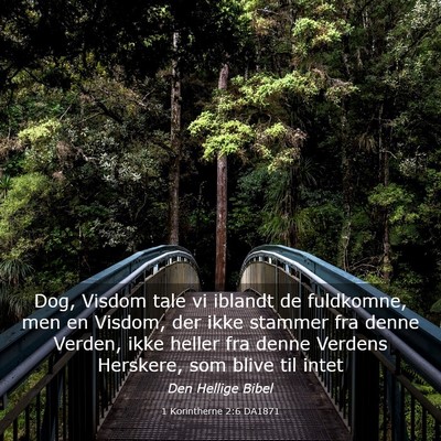 Picture 03 - 1 Korintherne 2:6 DA1871 - Dog, Visdom tale vi iblandt de fuldkomne, men en - Bible Verse Picture