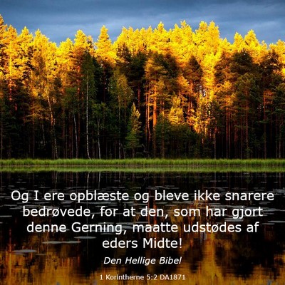 Picture 03 - 1 Korintherne 5:2 DA1871 - Og I ere opblæste og bleve ikke snarere - Bible Verse Picture